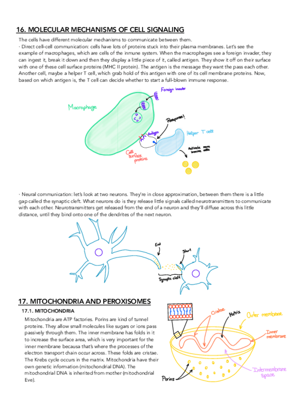 Miniatura del documento CHAPTERS-16-17.2..pdf