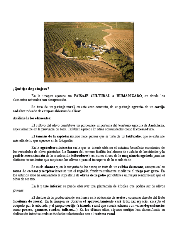 Miniatura del documento Cortijo-andaluz.pdf