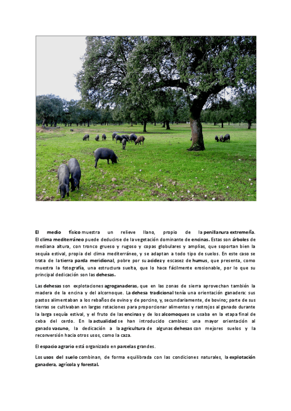 Miniatura del documento Dehesa-extremena.pdf