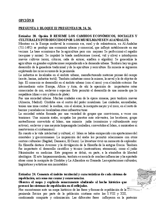 Miniatura del documento RESUMEN-OPCION-B.docx.pdf