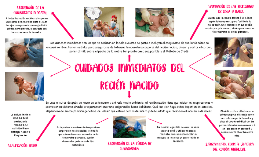 Miniatura del documento Cuidados-inmediatos-del-recien-nacido.pdf