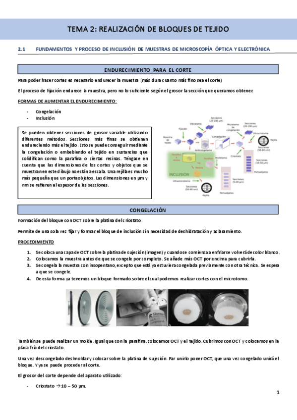 Miniatura del documento TEMA-2-realizacion-de-bloques-de-tejido.pdf