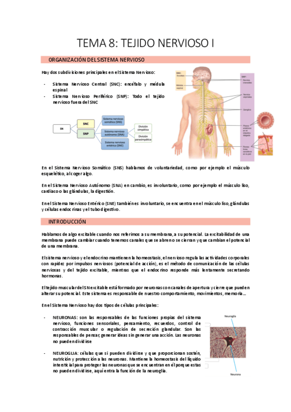 Miniatura del documento TEMA-8.1.pdf