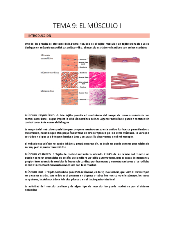 Miniatura del documento TEMA-9.pdf