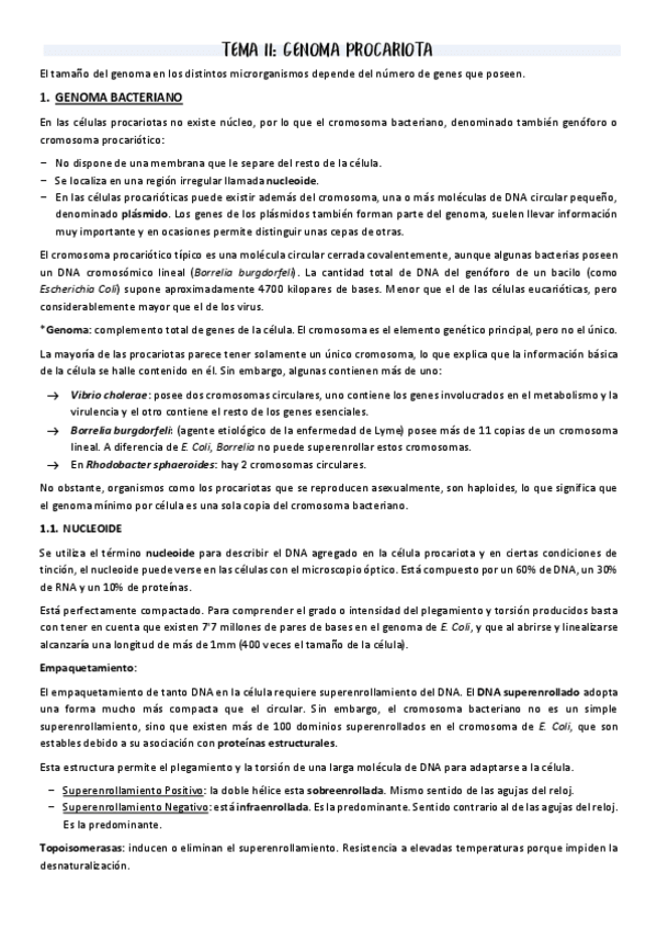 Miniatura del documento T11-GENOMA-PROCARIOTA.pdf