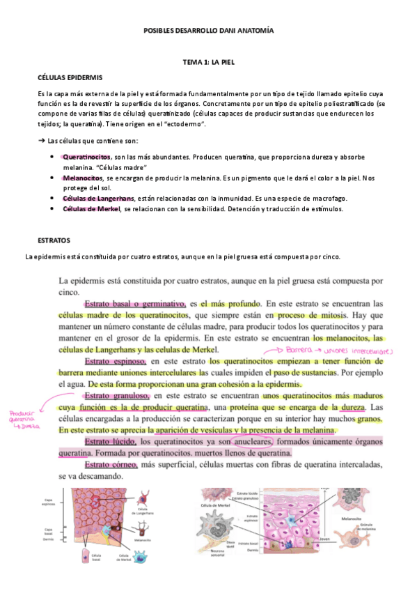 Miniatura del documento Desarrollo-dani-y-Arranz-posible-examen.pdf