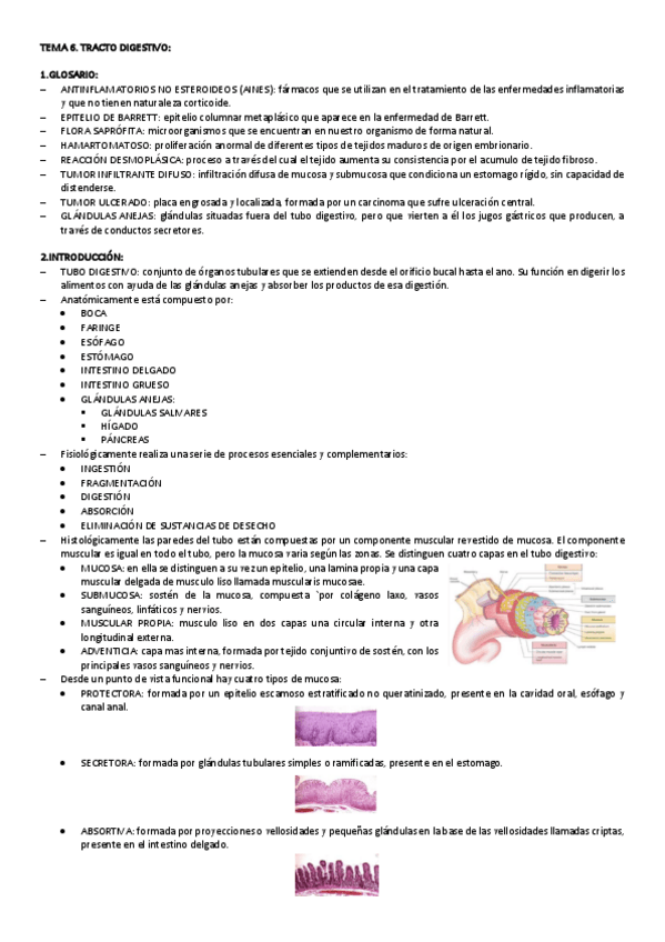 Miniatura del documento TEMA-6-CITO-GENE.pdf