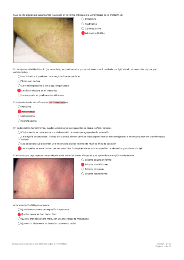 Miniatura del documento DAYPO-DERMA-corregido.pdf