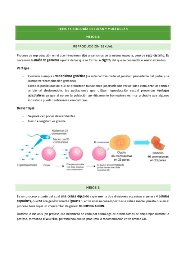 Miniatura del documento tema-15-biologia-celular-y-molecular.pdf