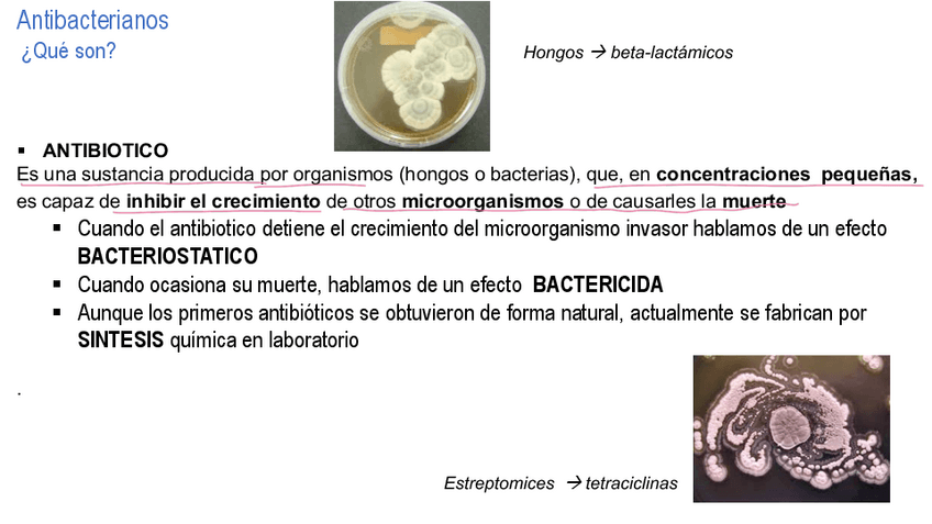 Miniatura del documento quimioterapia-23.pdf
