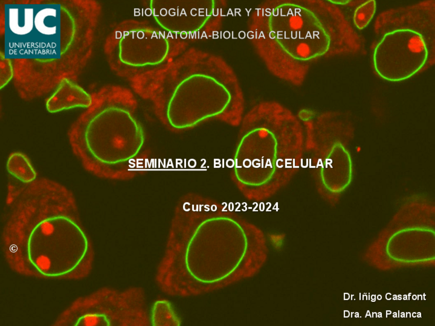 Miniatura del documento Seminario-2.-Citologia.pdf