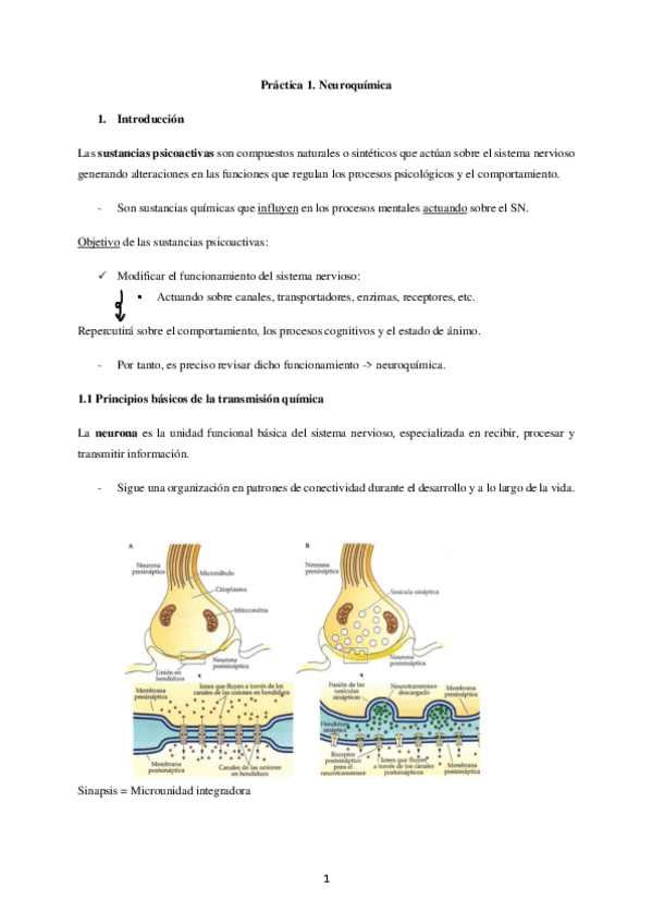 Miniatura del documento neuroquimica.pdf
