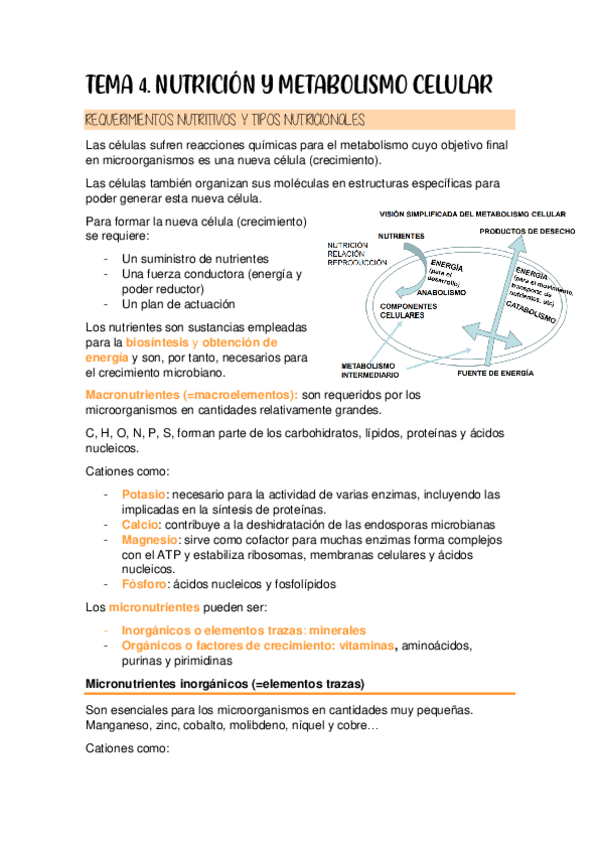 Miniatura del documento TEMA4 apuntes y teoria completa.pdf