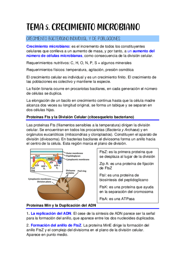 Miniatura del documento TEMA-5-apuntes y teoría completa.pdf