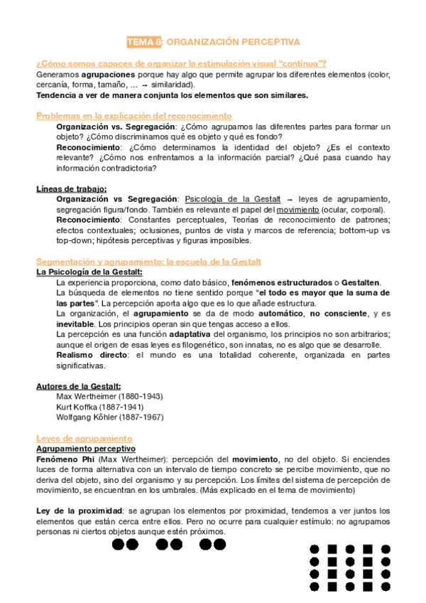 Miniatura del documento organizacion-perceptiva.pdf