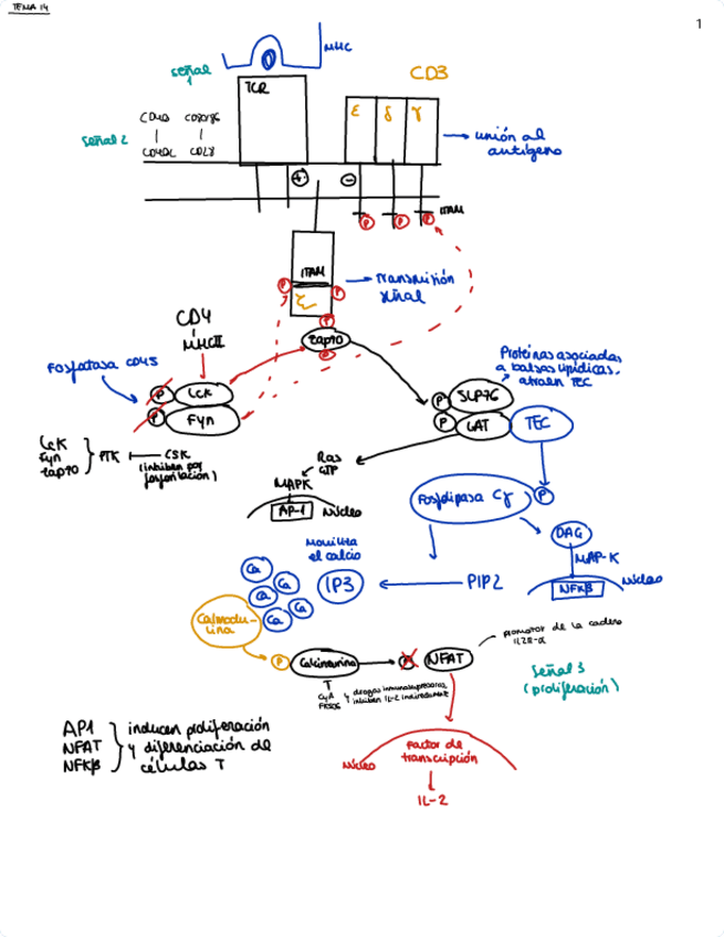 Miniatura del documento esquemas-segundo-parcial.pdf