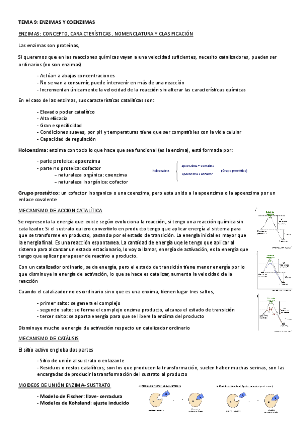 Miniatura del documento tema-9.-enzimas-y-conezimas.pdf