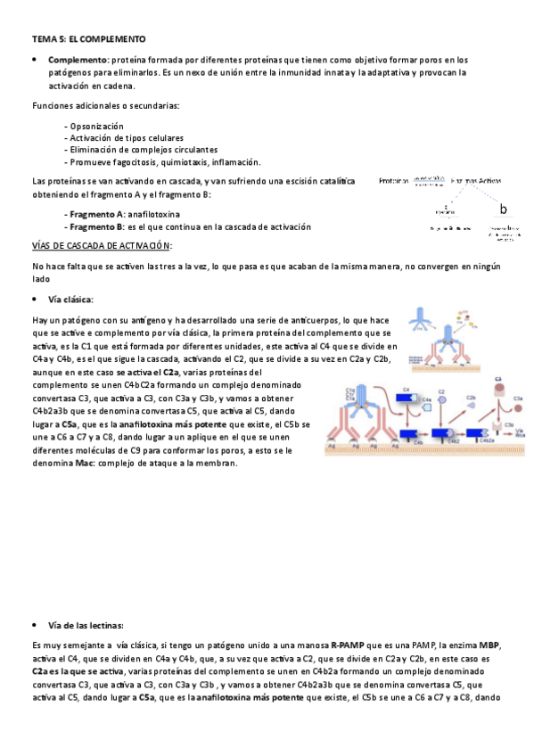 Miniatura del documento tema-5.-el-complemento.pdf