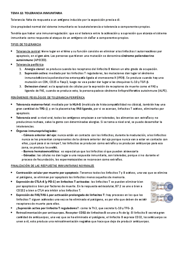 Miniatura del documento tema-12.-tolerancia-inmunologica.pdf