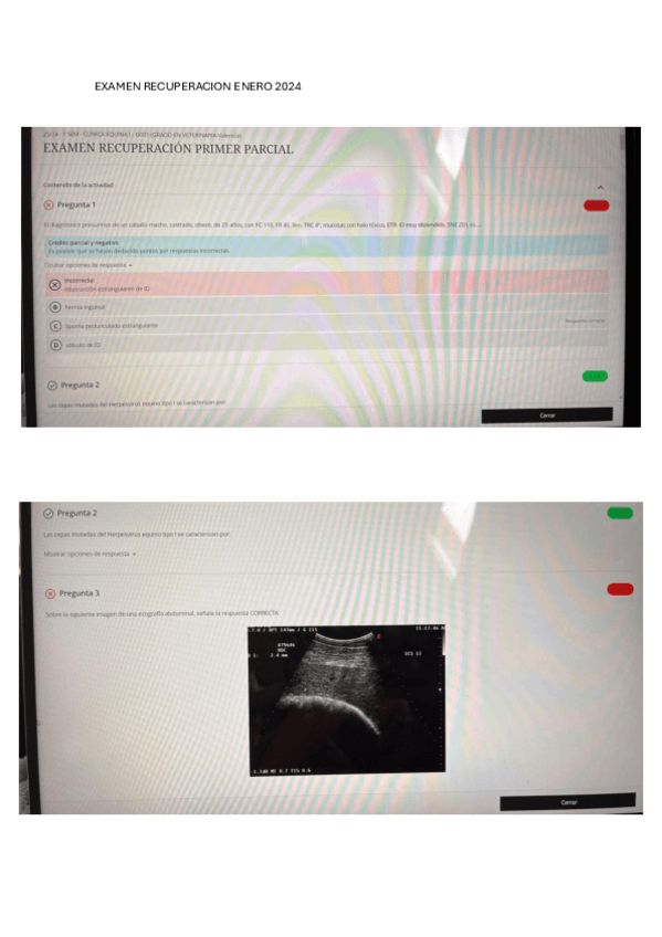 Miniatura del documento Examen-recuperacion-1r-parcial-equino.pdf