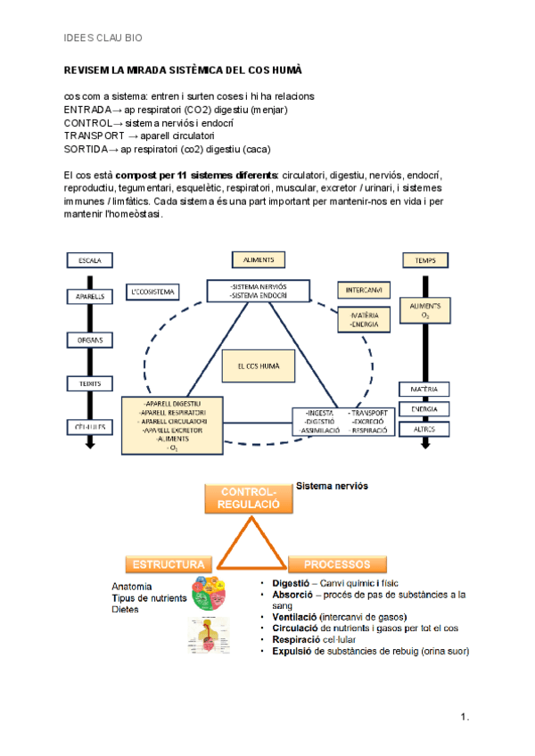 Miniatura del documento IDEES-CLAU-BIO.pdf
