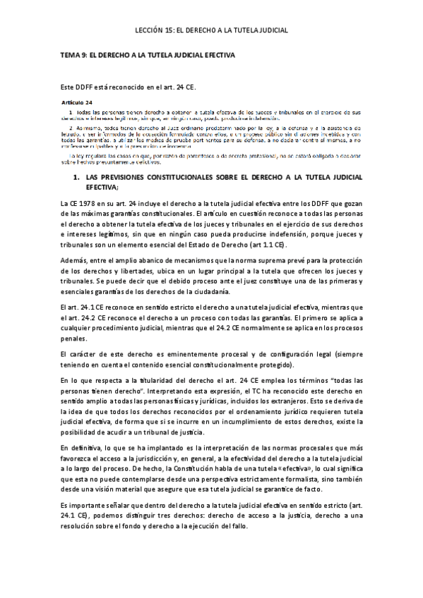 Miniatura del documento TEMA-9-EL-DERECHO-A-LA-TUTELA-JUDICIAL-EFECTIVA.pdf