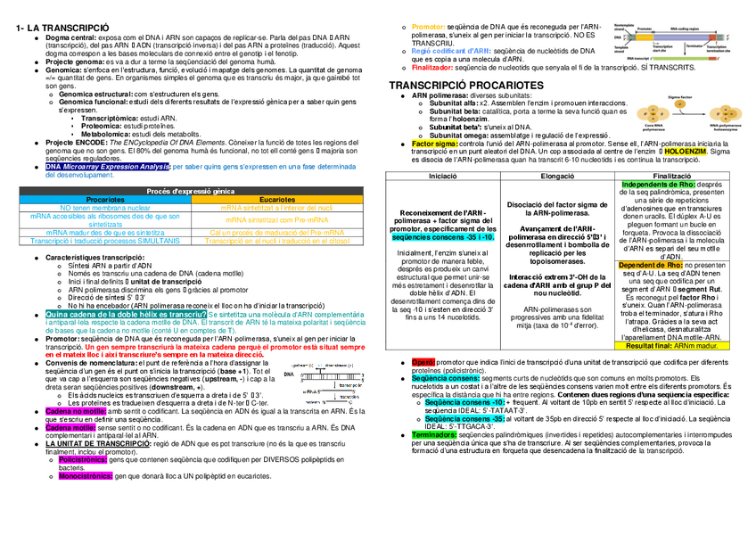 Miniatura del documento RESUM CONCEPTES-2N-PARCIAL-GM.pdf