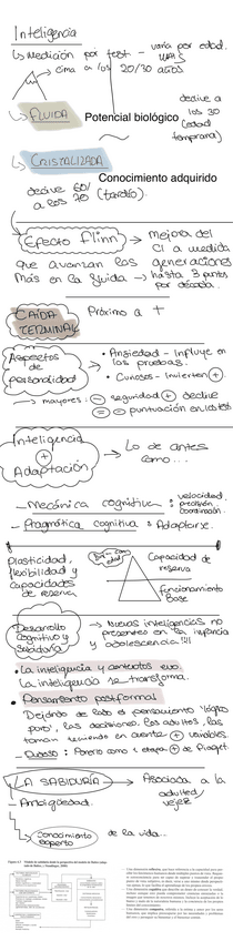Miniatura del documento Resumen-inteligencia-y-sabiduria.pdf