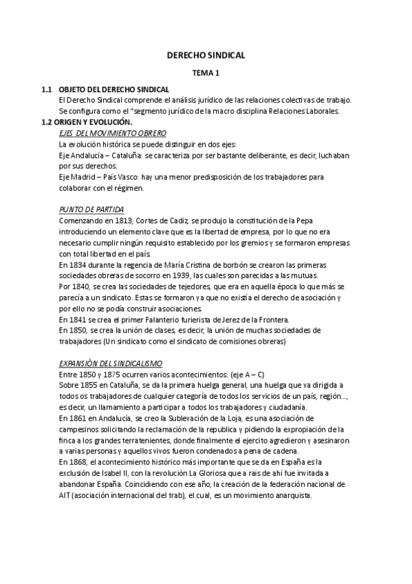Miniatura del documento DERECHO-SINDICAL-pdf.pdf