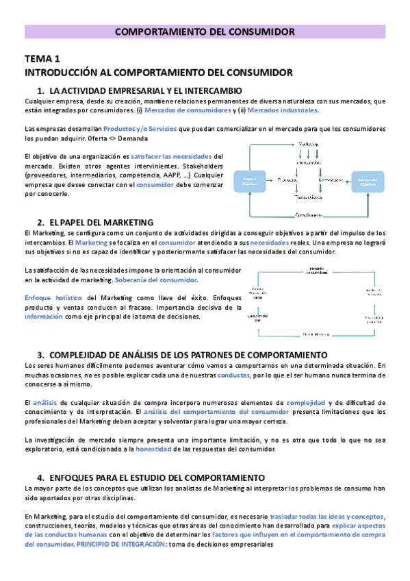 Miniatura del documento TEMA-1-COMPORTAMIENTO-DEL-CONSUMIDOR.pdf