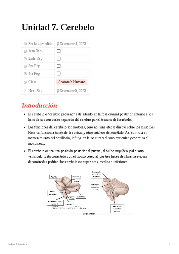 Miniatura del documento T.7-Cerebelo.pdf