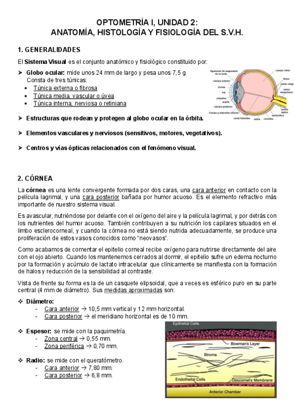 Miniatura del documento OPTOMETRIA-I-RESUMEN-UNIDAD-2.pdf