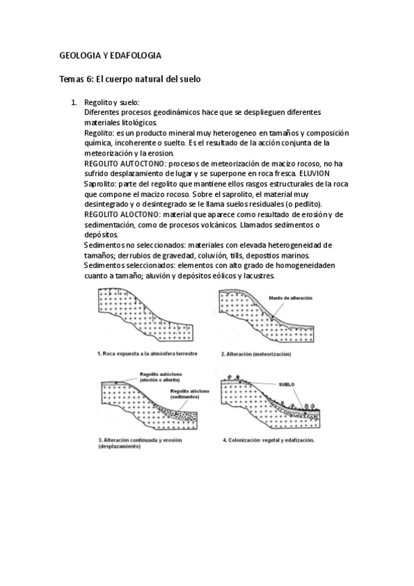 Miniatura del documento EDAFOLOGIA.pdf