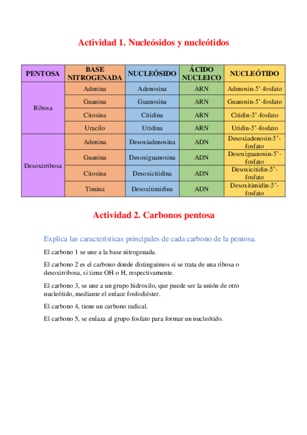 Miniatura del documento Tabla-nucleotidos-y-funcion-carbonos-pentosa.pdf