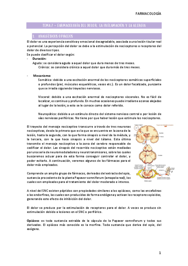 Miniatura del documento TEMA-7-FARMA.pdf