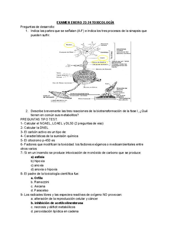 Miniatura del documento Examen-toxicologia-23-24--otros-exámenes.pdf