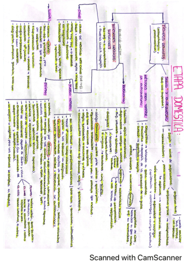 Miniatura del documento ETAPA-DOMESTICA-HISTORIA-ENFERMERIA.pdf