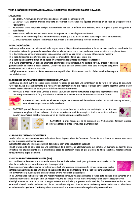 Miniatura del documento TEMA-6-CITO-GINE.pdf