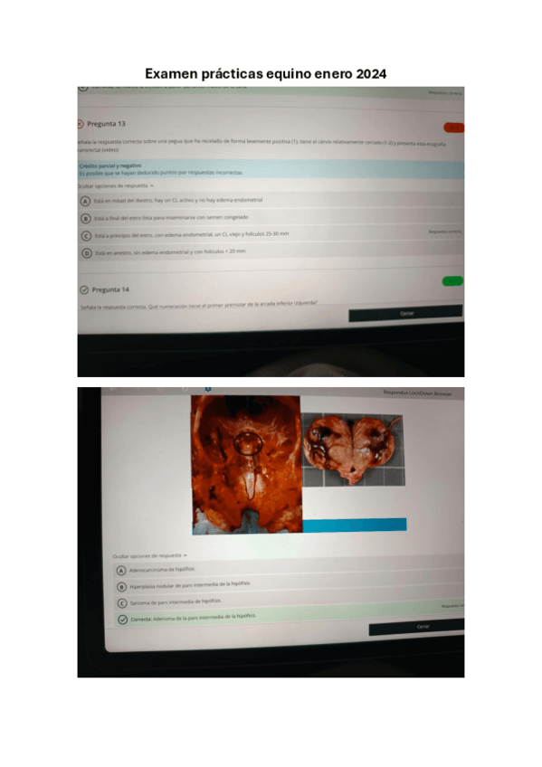 Miniatura del documento Examen-practicas-enero-2024.pdf