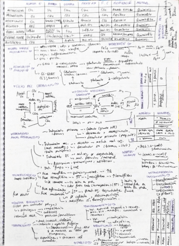 Miniatura del documento hoja-examen.pdf