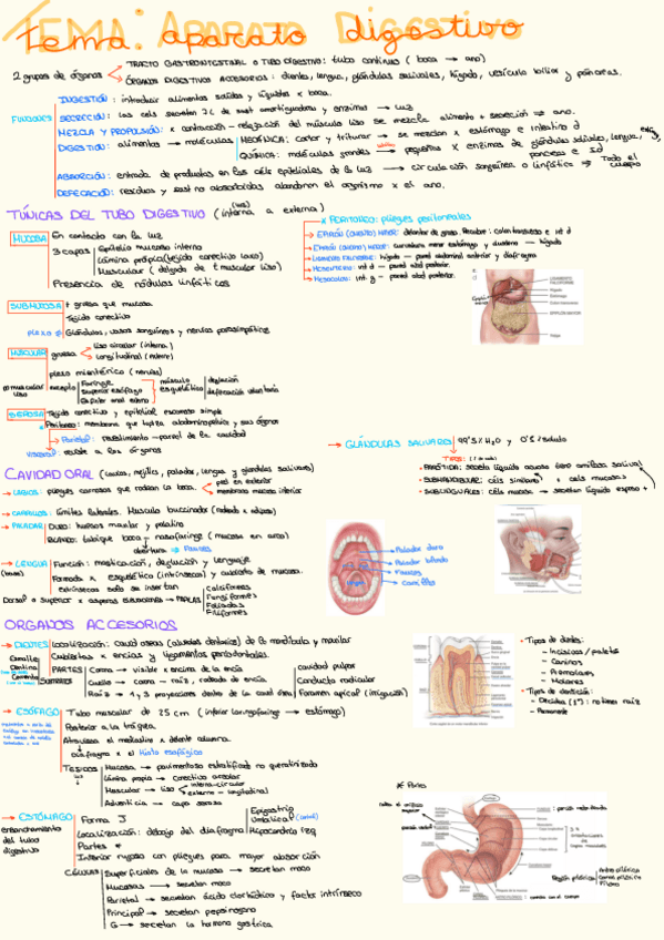 Miniatura del documento Esquemas-T12-23.pdf