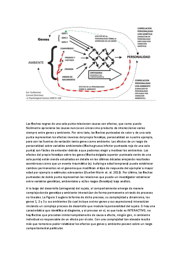 Miniatura del documento esquema-turkheimer.pdf