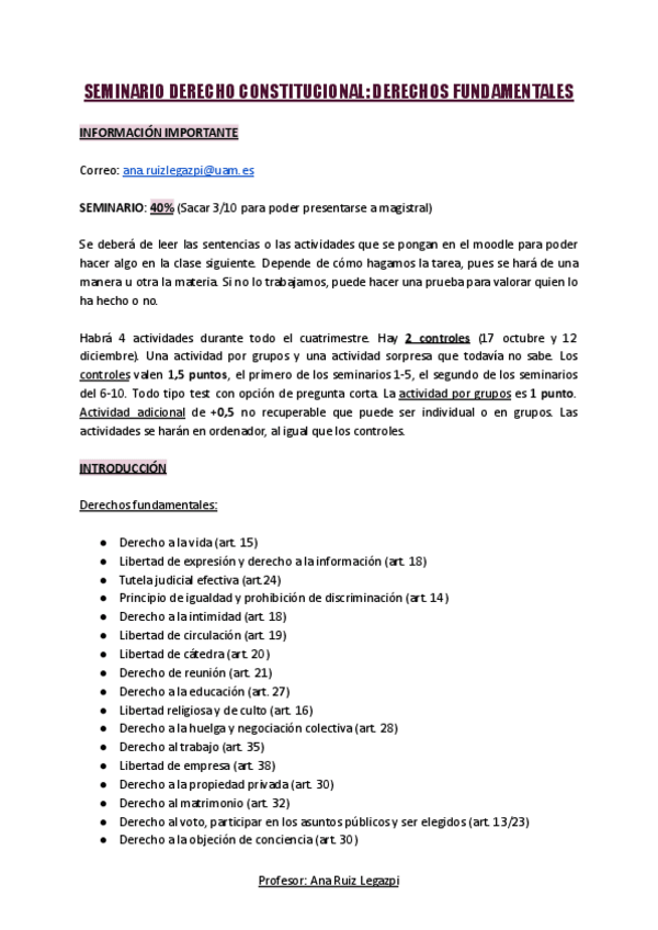 Miniatura del documento SEMINARIO-DERECHO-CONSTITUCIONAL-DERECHOS-FUNDAMENTALES.pdf