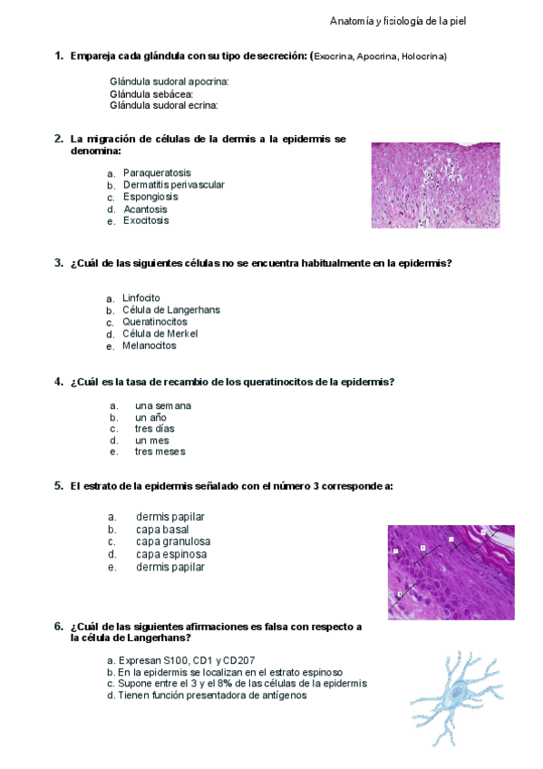Miniatura del documento C1.-Anatomia-y-fisiologia-piel.pdf