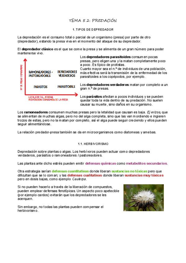 Miniatura del documento T5_2_Predación.pdf