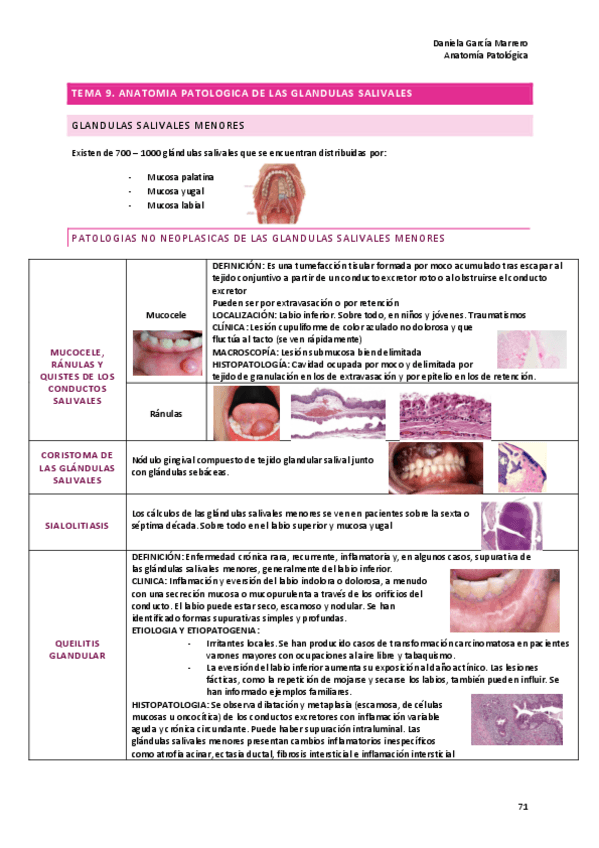 Miniatura del documento tema-9.pdf