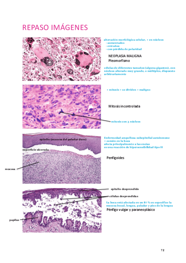 Miniatura del documento imagenes-examen.pdf