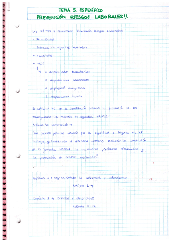 Miniatura del documento PREVENCION-RIESGOS-LABORALES.pdf