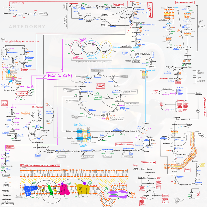 Miniatura del documento Esquema BQ.png