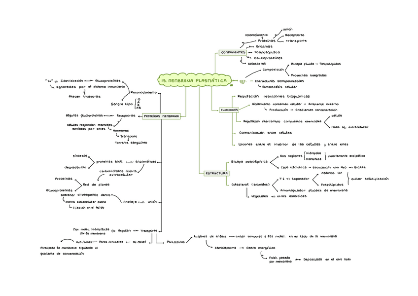 Miniatura del documento resumen-tema-15.pdf